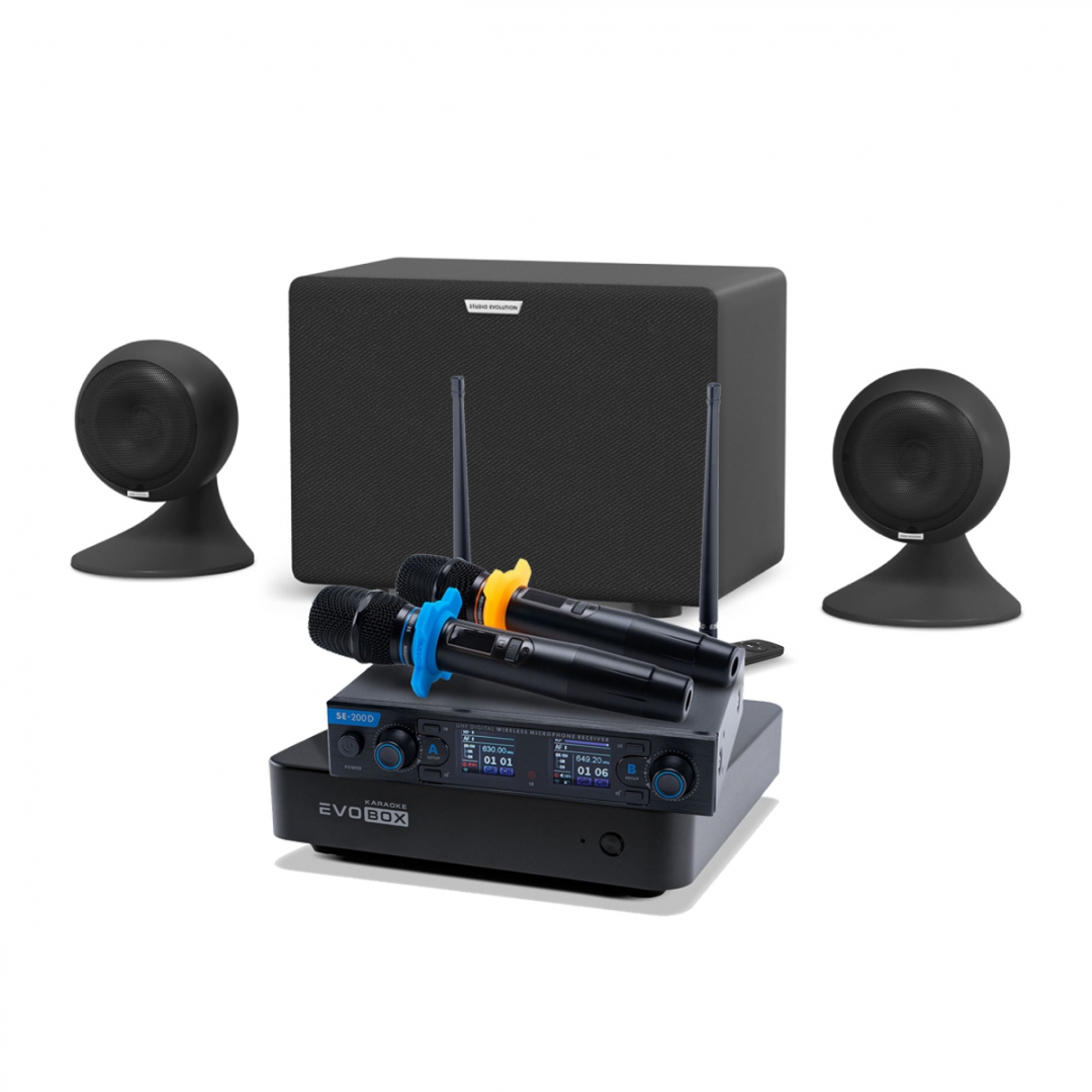 караоке-комплект EVOBOX + EvoSound Sphere 2.1 в Красноуфимске