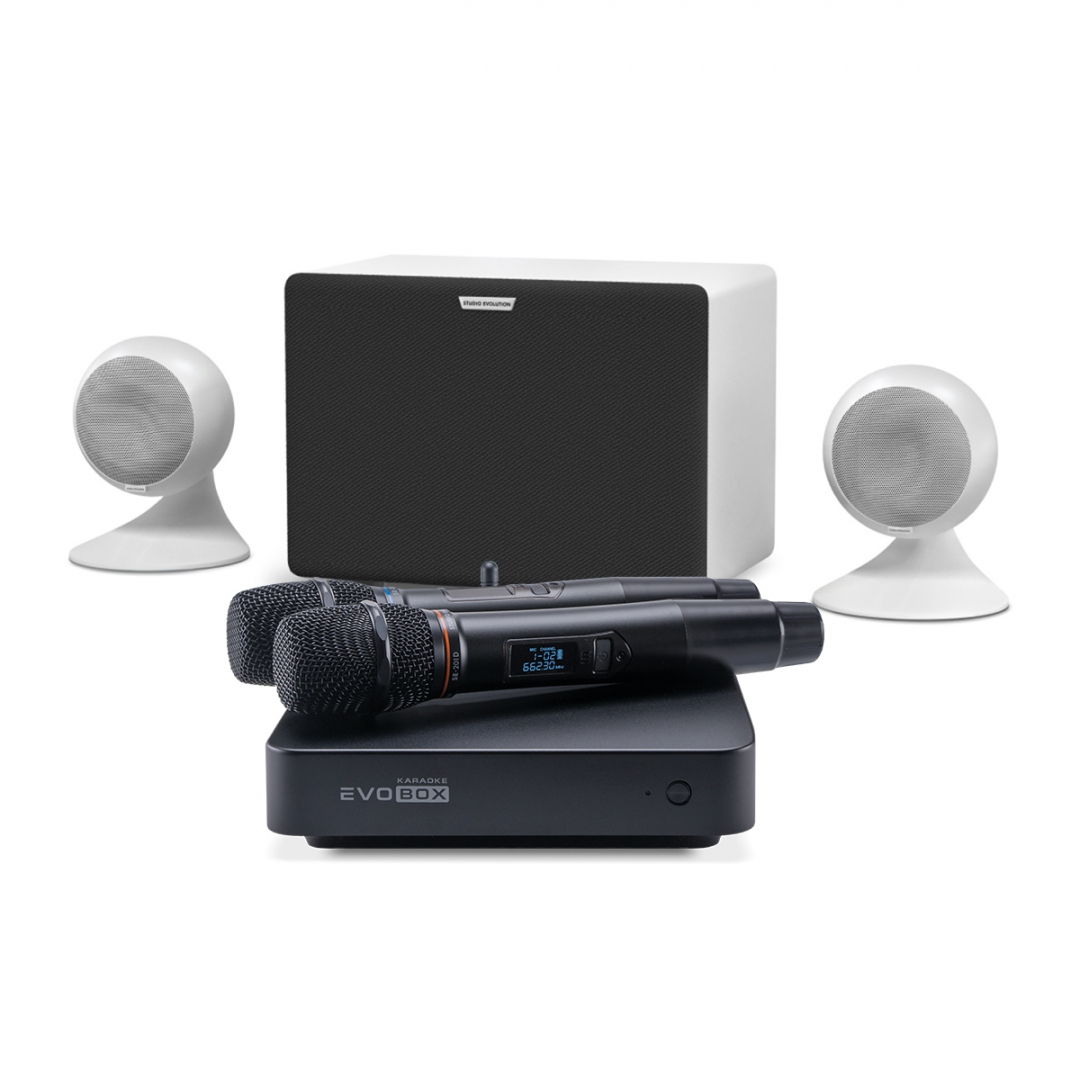 караоке-комплект EVOBOX Classic + EvoSound Sphere 2.1 в Красноуфимске