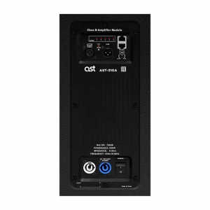 Активная акустическая система AST-310A в Красноуфимске