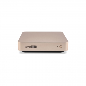 EVOBOX с микрофонами в Красноуфимске
